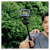 SmallRig 5285B VT-15 - mini statyw 3w1 w kształcie karabińczyka typu Mantis z głowicą kulową, uchwyt, selfie stick - przykład użycia